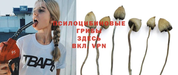 тгк Алексеевка