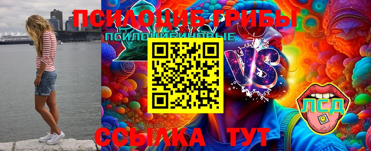 Галлюциногенные грибы прущие грибы Чернушка