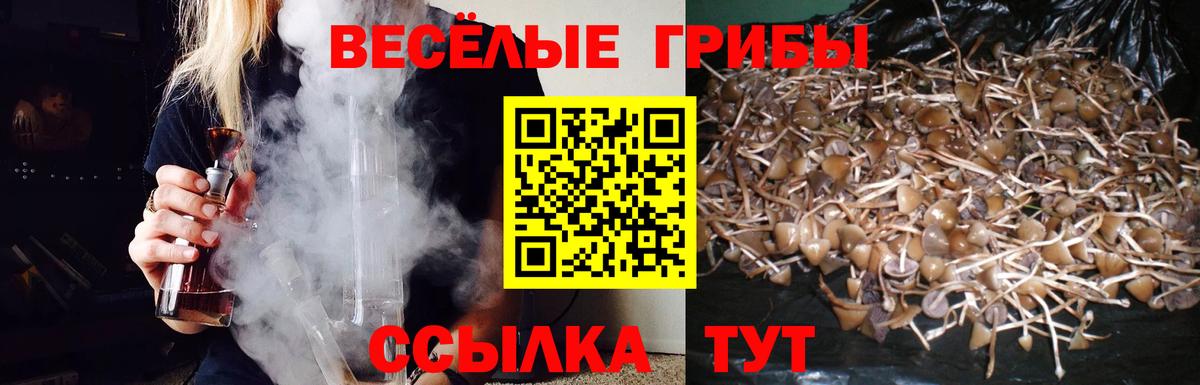 Галлюциногенные грибы прущие грибы  Вход с VPN  Чернушка  Псилоцибиновые грибы Cubensis 