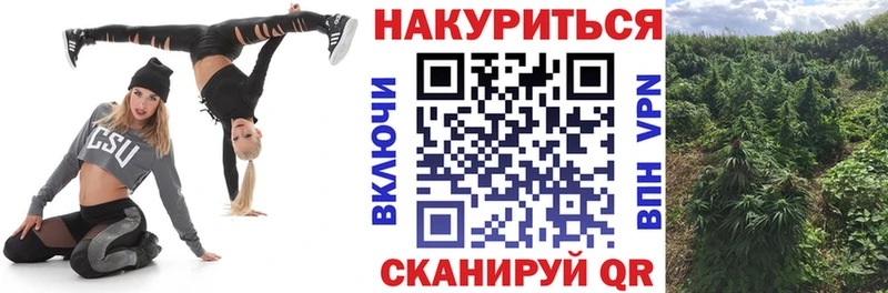 Марихуана план  Чернушка 